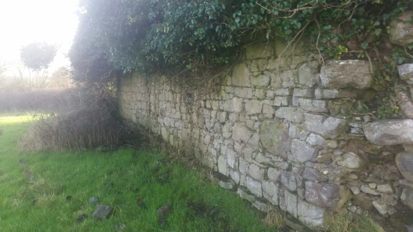 Cloonsellan Abbey 2