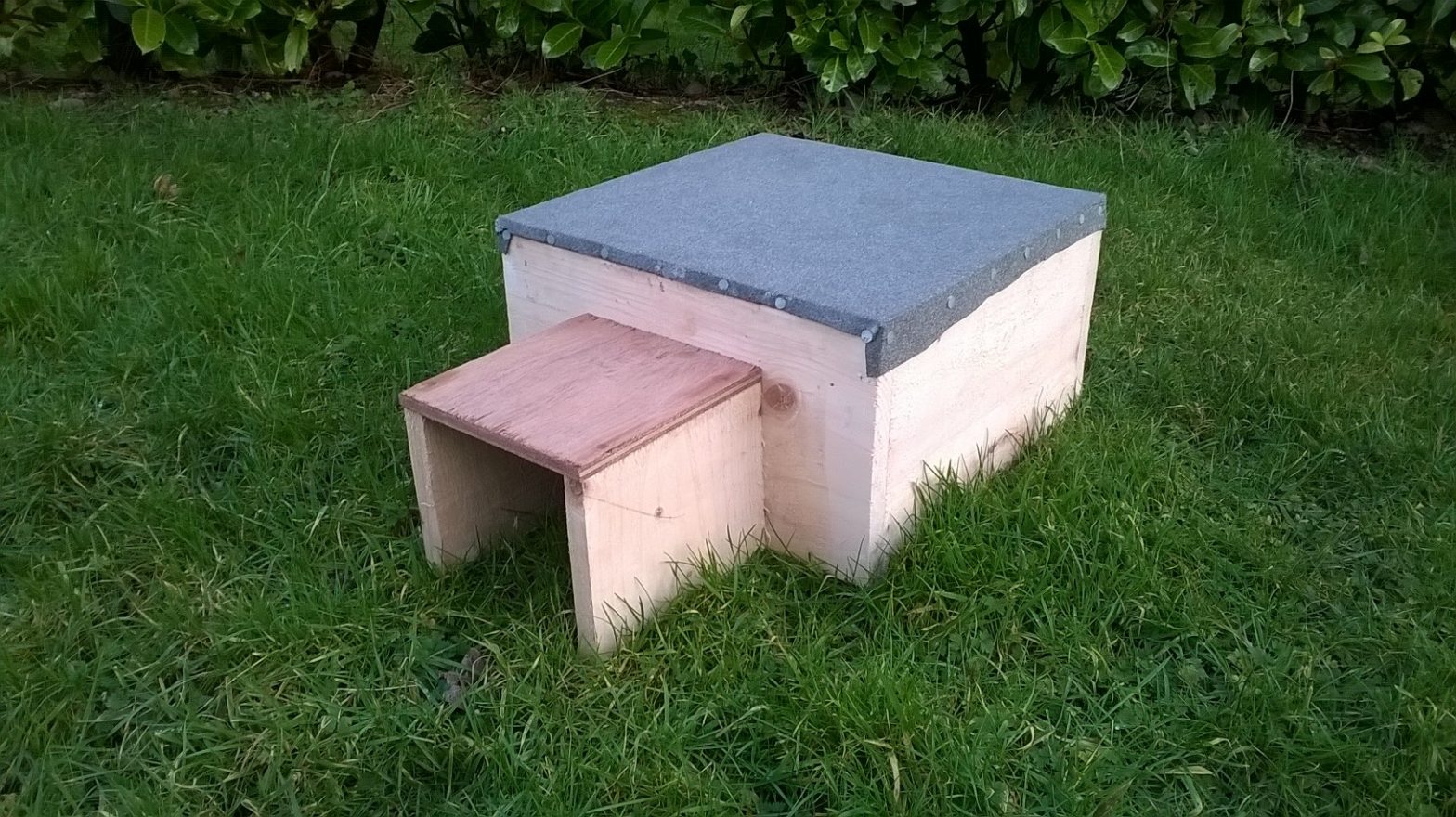 Hedgehog Box