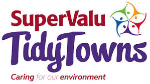 Tidy Towns Report 2025 – Great Result for Portrun Development